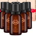 Pure plant extract rose lavender lemon grass wormwood massage spa essential oil