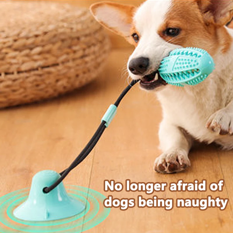 Dog Toy Suction Cup Pull Ball Resistant To Bite Teeth Molar Pet Anti-boring Toy Educational Leaking Food Ball Interactive Toys, Blue red, red white, blue, green
Dog Toy Suction Cup Pull Ball Resistant To Bite Teeth Molar Pet Anti-boring Toy Educational Leaking Food Ball Interactive Toys, Blue red, red white, blue, green