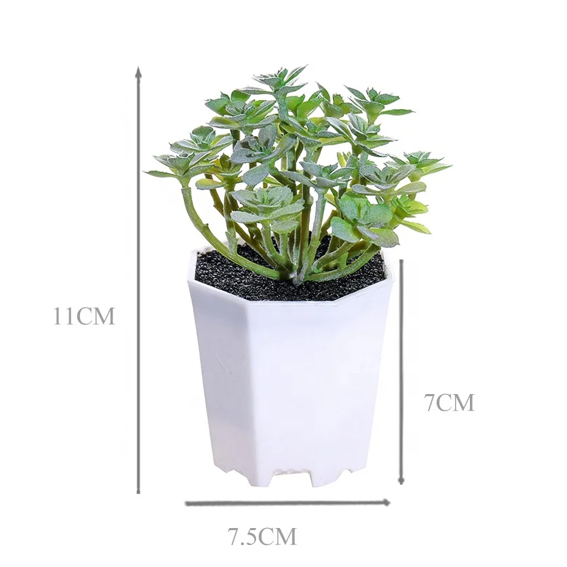 2021 Wholesale small plant pots Artificial Bonsai plastic Plant for decoration 
2021 Wholesale small plant pots Artificial Bonsai plastic Plant for decoration