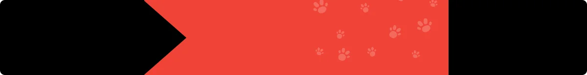 Company Overview Shaoxing Chunjili Pet Products Co Ltd Company Overview Shaoxing Chunjili Pet Products Co Ltd