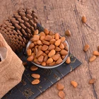 Pine Nuts Pine Nuts Pine Tree Nuts Organic Kilo Indonesia