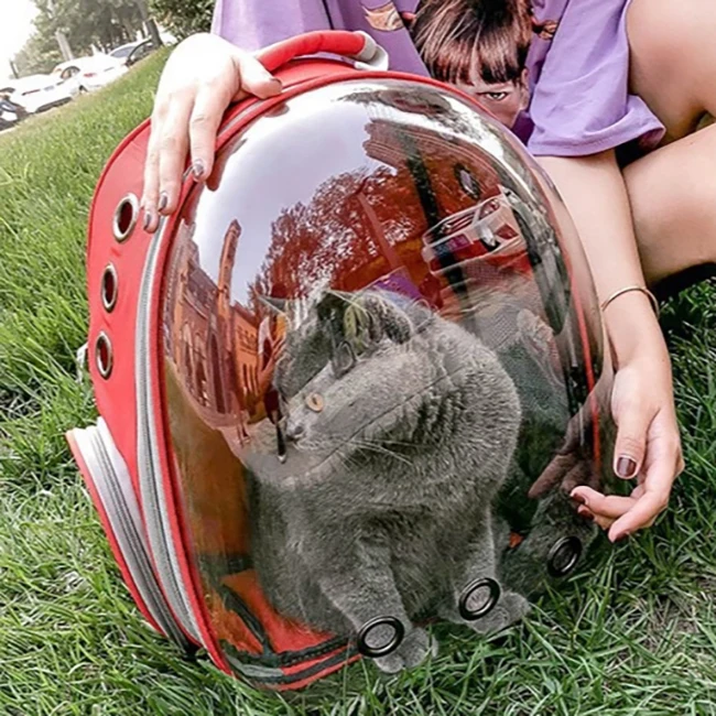 Comfortable Pet Travel Carrier Cat Dog Puppy Portable Case Collapsible Bag Pet Carrier Bag, Many or customized color
Comfortable Pet Travel Carrier Cat Dog Puppy Portable Case Collapsible Bag Pet Carrier Bag, Many or customized color