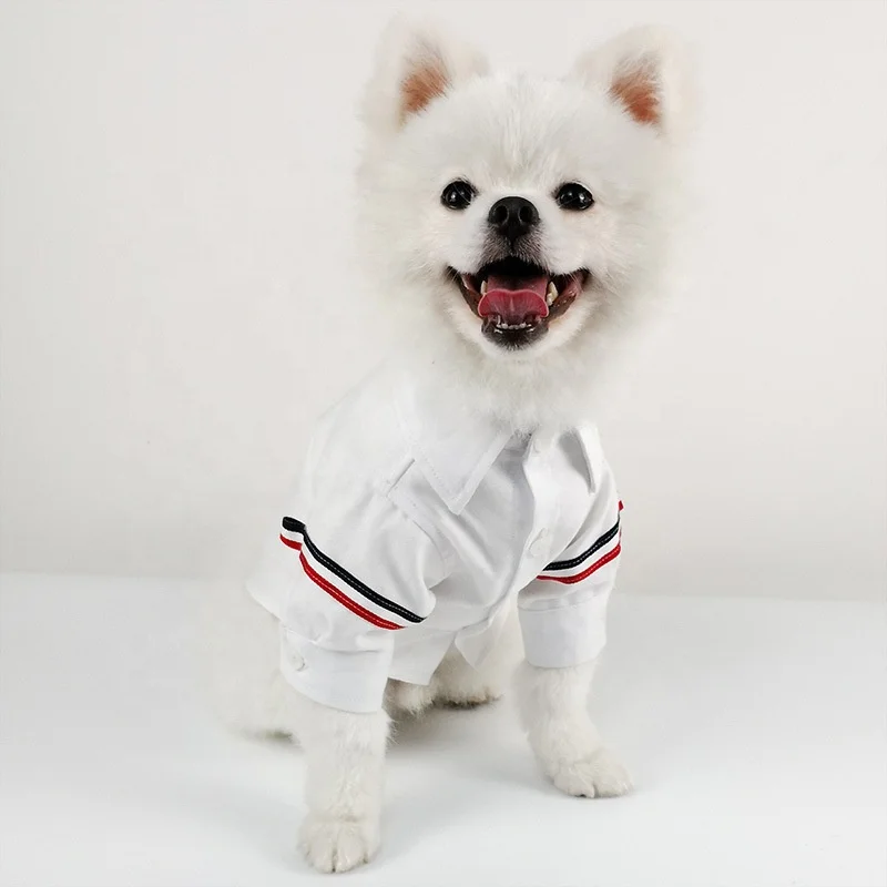 Luxury Fashion Logo Dog shirt Cat Spring Clothes Teddy Medium and big Size Dog Popular Pet Clothing
Luxury Fashion Logo Dog shirt Cat Spring Clothes Teddy Medium and big Size Dog Popular Pet Clothing