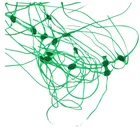 UV protection green and white cucumber support net cheap plant support net cucumber trellis netting