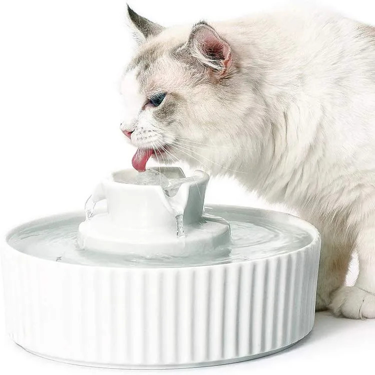 battery operated cat fountain
