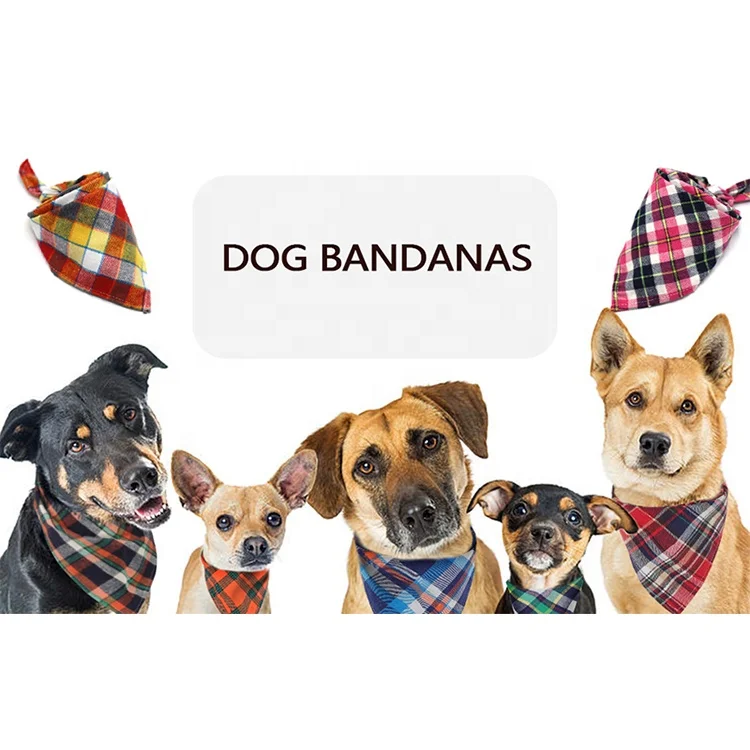 Pet Accessories Pet Triangle Scarf Pack Dog Scarf Pet Dog Bandana Scarf Dog Bandana, Green black silver
Pet Accessories Pet Triangle Scarf Pack Dog Scarf Pet Dog Bandana Scarf Dog Bandana, Green black silver