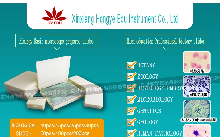botany microscope prepared glass slide microscope slides tilia