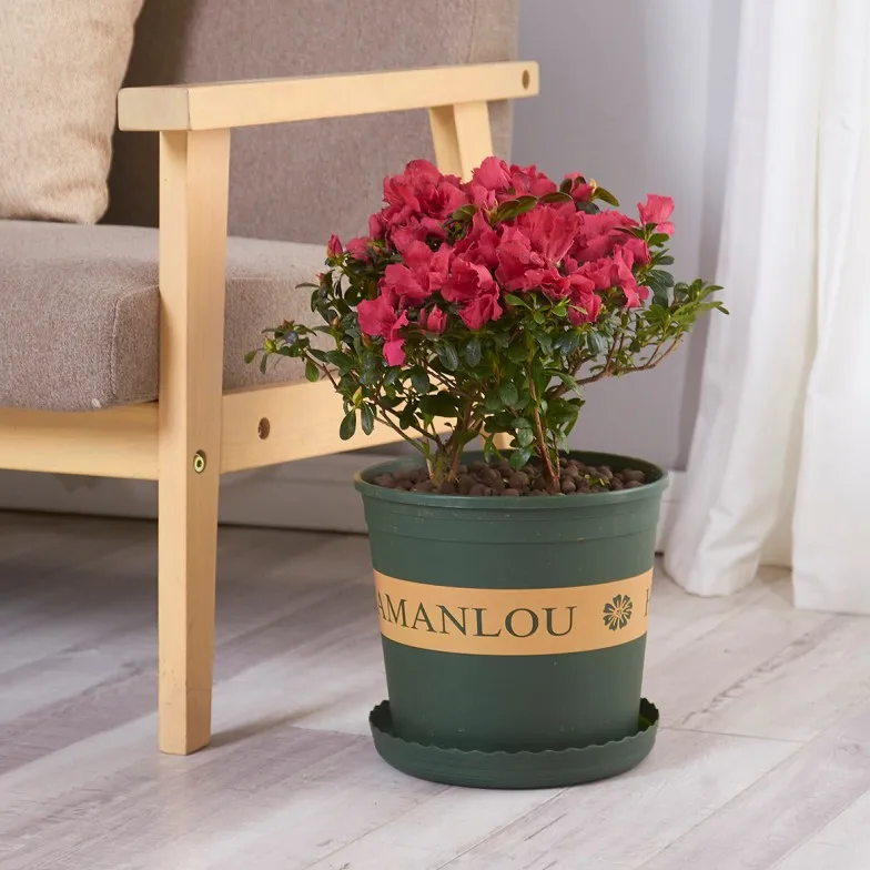2021 China supplier hot selling indoor garden plant flower pot for office living room plastic plant pots, Dark brown marble white
2021 China supplier hot selling indoor garden plant flower pot for office living room plastic plant pots, Dark brown marble white