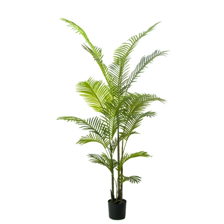 manufacturer wholesale green decorative long leaf small coconut tree artificial palm tree Artificial plant
manufacturer wholesale green decorative long leaf small coconut tree artificial palm tree Artificial plant