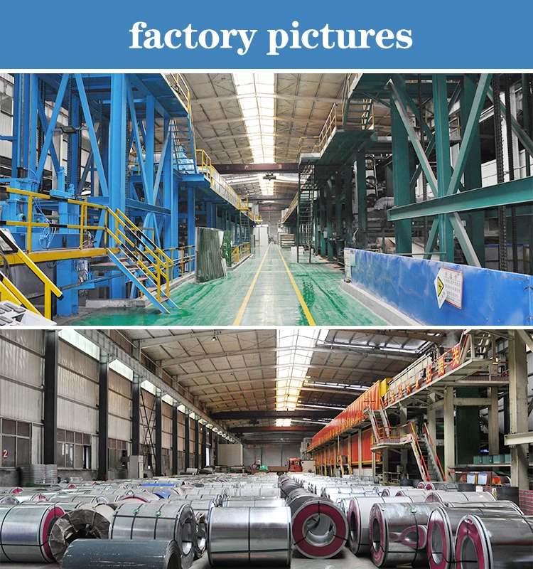 Customized ppgi hot dip galvanized coating steel coil/ppgl coil cold rolled steel sheet price