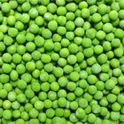 Wholesale Frozen Frozen Hot Selling Wholesale IQF Frozen Green Peas