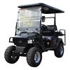 /product-detail/brand-new-golf-buggy-with-high-quality-60719223957.html