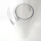 Anti-static Transparent Clear PET Roll for Thermoforming