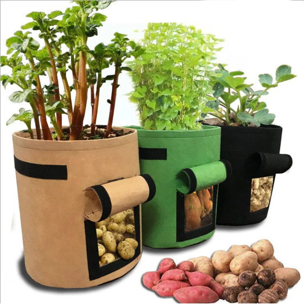 Uston Garden Grow Bags 4 Gallon 7 Gallon 10 Gallon 25 Gallon 100 Gallon Aeration Fabric patato plant vegetable Felt Grow Bag
Uston Garden Grow Bags 4 Gallon 7 Gallon 10 Gallon 25 Gallon 100 Gallon Aeration Fabric patato plant vegetable Felt Grow Bag