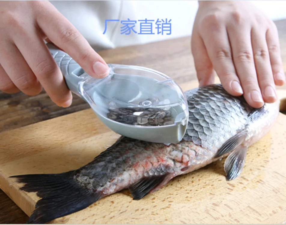 Kitchen Tool Cleaning Fish Skin Scraping Scales Planing Fast Scales Peeling Fish Scale Remover, 5color 
Kitchen Tool Cleaning Fish Skin Scraping Scales Planing Fast Scales Peeling Fish Scale Remover, 5color