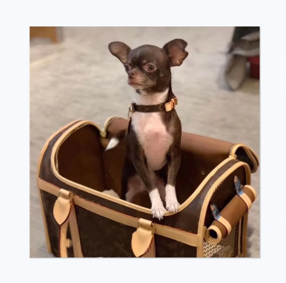 Original Custom Classic Print Logo Design Advanced Accessory Material Brand Pet Outing Bag Luxury Dog Carrier
Original Custom Classic Print Logo Design Advanced Accessory Material Brand Pet Outing Bag Luxury Dog Carrier