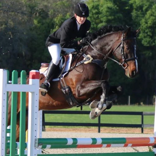 High Quality Outdoor Aluminum Metal Jumps With Swing Equipment For Horse Racing Sport Show
High Quality Outdoor Aluminum Metal Jumps With Swing Equipment For Horse Racing Sport Show