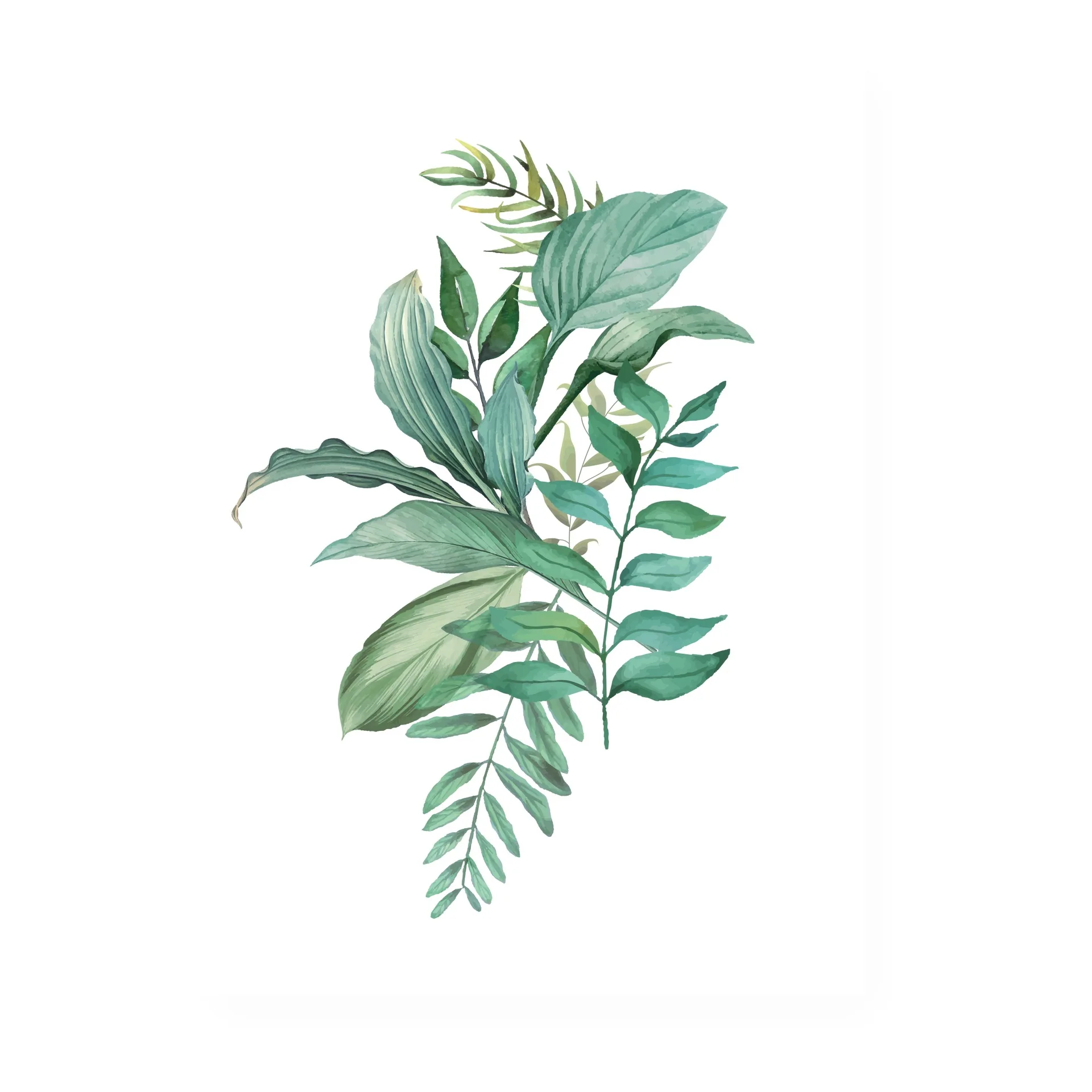 Factory Wholesale 13*18 Cm Green Plant Modern Home Decoration Painting Frameless Wall Art Canvas Painting
Factory Wholesale 13*18 Cm Green Plant Modern Home Decoration Painting Frameless Wall Art Canvas Painting