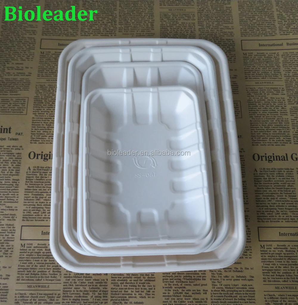 Biodegradable Disposable Sugarcane Bamboo Food Container Tray