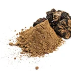 Natural Dry Noni Fruit Noni Chips Organic Dried Noni Fruit