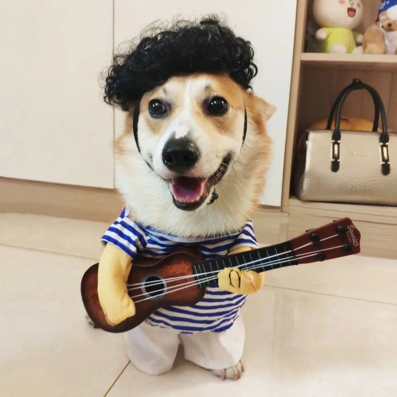 Amazon hot selling dog cute clothes guitarist decoration small pet funny transformation clothes cat cute clothes belt decoration, Picture
Amazon hot selling dog cute clothes guitarist decoration small pet funny transformation clothes cat cute clothes belt decoration, Picture