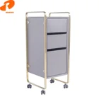 Hair Styling Trolley Hair Beauty Salon Trolley Tool Storage Trolley F-D133