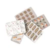 Tablets Pills Packing Aluminium Foil Blisters