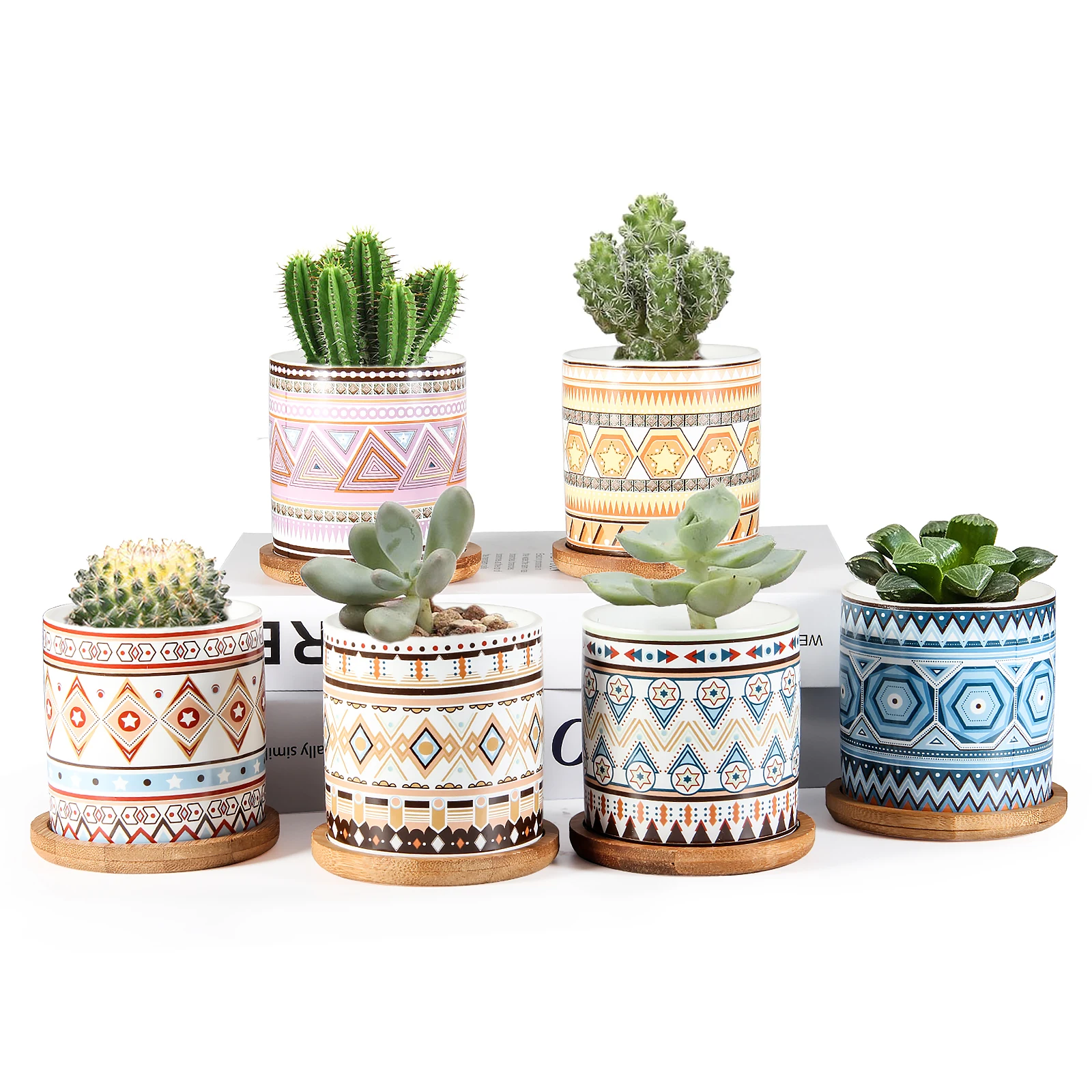 Painted Pot indoor plant pots Mini Succulent Flower planter for Cactus, Herbs, Home, Multi
Painted Pot indoor plant pots Mini Succulent Flower planter for Cactus, Herbs, Home, Multi