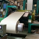 prepainted galvanized steel coil 0.23 prime color hot dipped galvanized steel sheets in coils