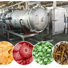 cheap price Food Processing Vacuum chicken beef meat saefood Freeze Drying Machine