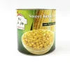 /product-detail/a9-delicious-canned-sweet-corn-kernel-2500g-factory-price-62371620181.html