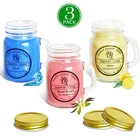 Bestselling Plant Essential Oil 3-piece Set of Soy Candle Handle Glass colours Cup Smokeless scented Candle Lamp