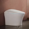 /product-detail/automatic-one-piece-electric-smart-urinal-toilet-seat-cover-intelligent-smart-bidet-toilet-62410517239.html