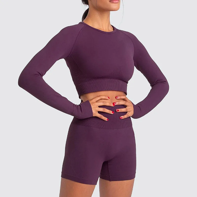 Long sleeve crop top and shorts gym wear women yoga suit seamless fitness yoga outfit active wear set
Long sleeve crop top and shorts gym wear women yoga suit seamless fitness yoga outfit active wear set