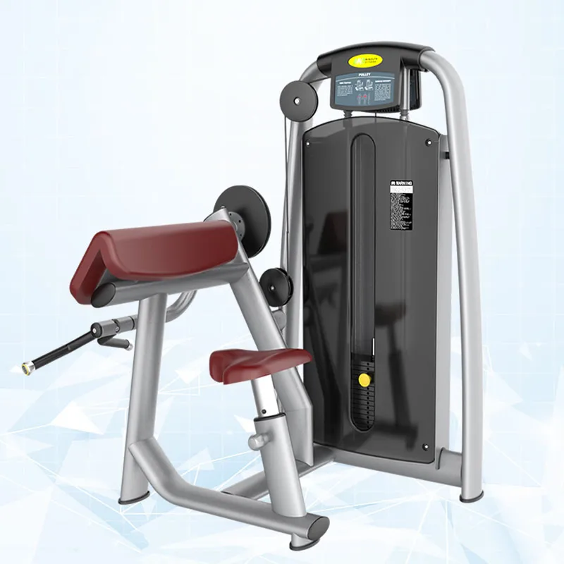 Factory Price Bicep Curl Arm machine with High Strength Spring Steel for Fitness Gym Equipment
Factory Price Bicep Curl Arm machine with High Strength Spring Steel for Fitness Gym Equipment