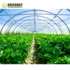 /product-detail/greenday-commercial-single-span-agricultural-tents-for-flower-tunnel-invernadero-62312100185.html