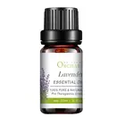 Wholesale Lavender Extract Fragrance Massage Oil Bulk 100% Pure Lavender Essential Oil