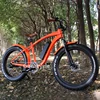 /product-detail/green-power-long-range-electric-bicycle-fat-tire-bafang-motor-powerful-ebike-vintage-snow-bikes-for-adults-62423011941.html