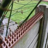 10 Piece Anti Climb Fence Wall Spikes Burglars Cats Birds Repellent Deterrent