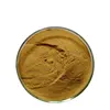 /product-detail/best-quality-organic-certificate-ginger-root-gingerols-extract-powder-slice-in-bulk-62381841967.html