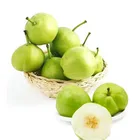 high quality fresh pears bulk purchase factory price farm pear fresh pear china