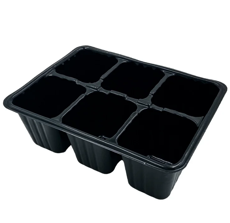 6 Hole Fleshy Leaf Insert Nursery Pot Moisturizing Temperature Tray Sprouting Organiser Seedling Box Plasric
6 Hole Fleshy Leaf Insert Nursery Pot Moisturizing Temperature Tray Sprouting Organiser Seedling Box Plasric
