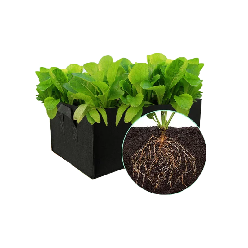 Wholesale outdoor indoor fabric flower pots coconut container grow box, Customized color
Wholesale outdoor indoor fabric flower pots coconut container grow box, Customized color