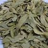 Fan xie ye High quality natural dried organic senna herbal tea