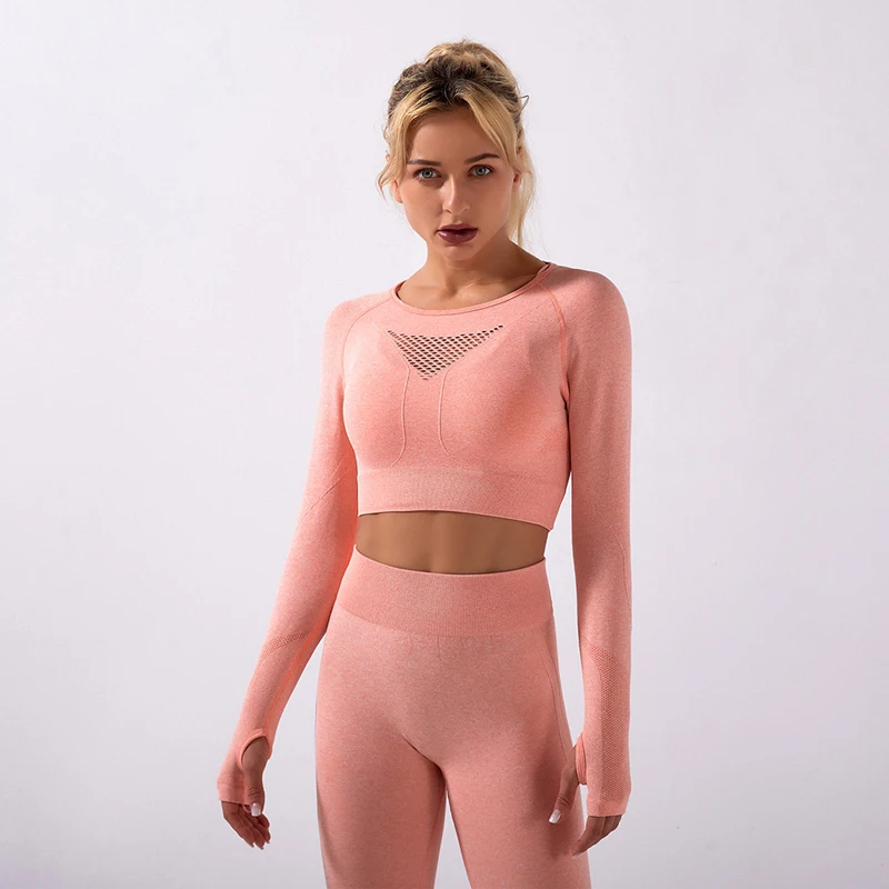 Wholesale Ribbed Crop Top Active Wear Outfits 2 Piece Gym Seamless Workout Set for Women
Wholesale Ribbed Crop Top Active Wear Outfits 2 Piece Gym Seamless Workout Set for Women