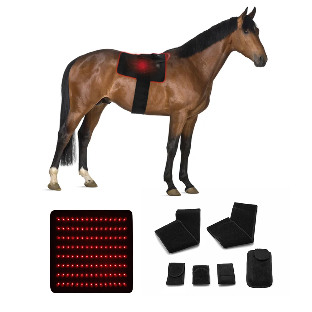 LED Red Light Near Infrared Light Pet Therapy Led Lamp Horse Red Light Therapy Pad Machine For Horse Back
LED Red Light Near Infrared Light Pet Therapy Led Lamp Horse Red Light Therapy Pad Machine For Horse Back