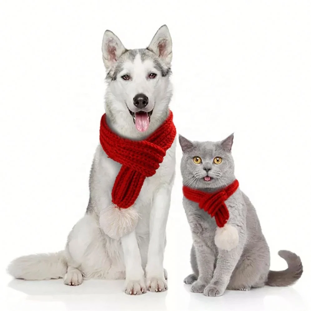 Jhcentury Pet Headgear Cloak Cute Dog Teddy Dress Up Headdress Cat Headgear Hat
Jhcentury Pet Headgear Cloak Cute Dog Teddy Dress Up Headdress Cat Headgear Hat