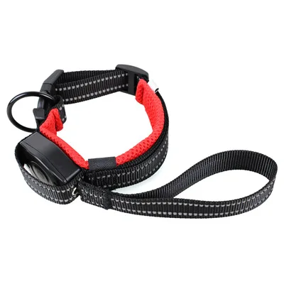 Amazon hot sale 2 in 1 all in one Collar + Leash Combo Dog Collar with Built-in Retractable Leash, Red
Amazon hot sale 2 in 1 all in one Collar + Leash Combo Dog Collar with Built-in Retractable Leash, Red