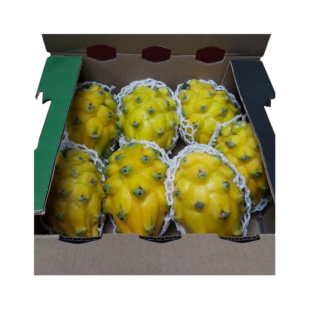100% natural juicy fresh yellow dragon fruit pitahaya pitaya