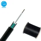 GYXTW 12 Core Single Mode G652D Steel Tape Central Loose Tube Light Armored Duct And Aerial unitube Fiber Optic Cable